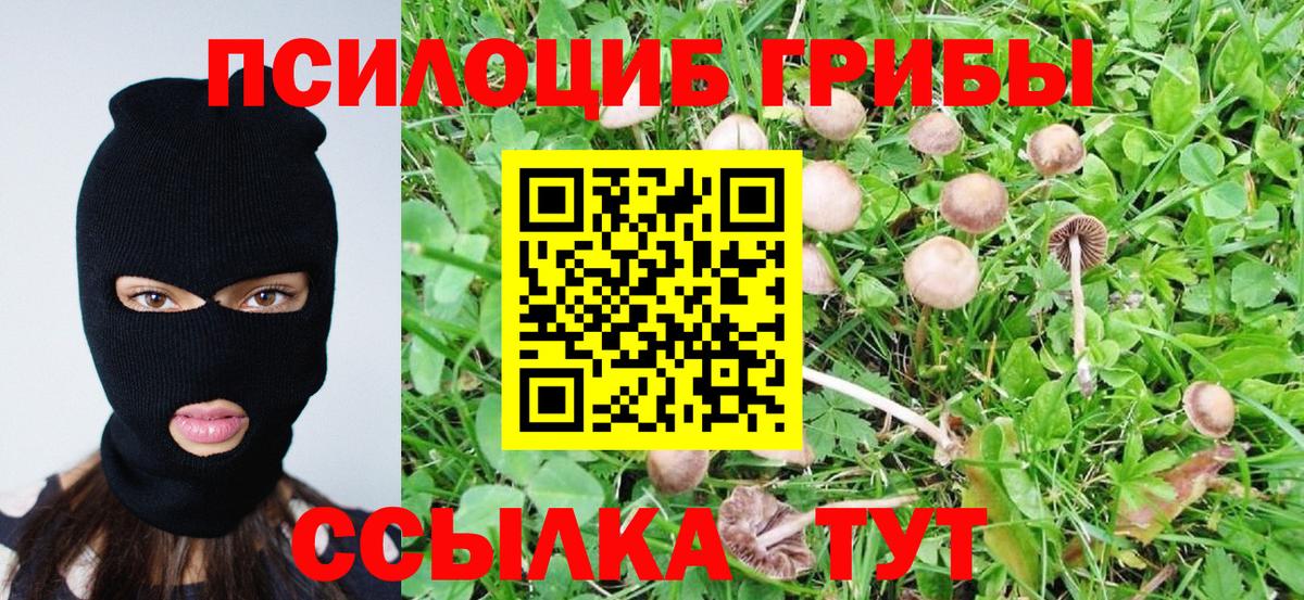 Псилоцибиновые грибы MAGIC MUSHROOMS Бирск