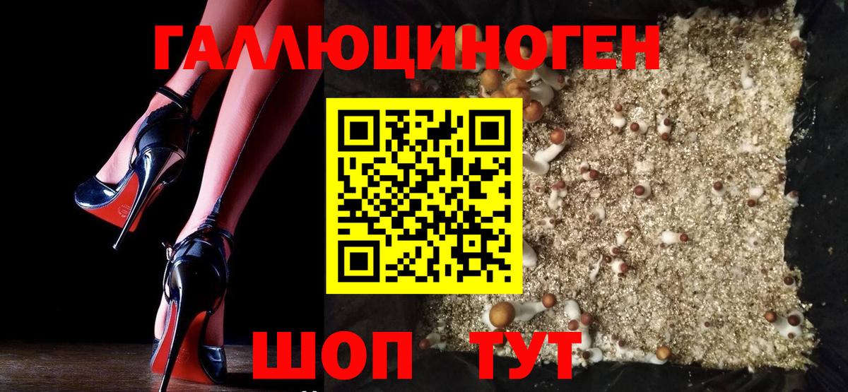 Галлюциногенные грибы Psilocybine cubensis  Вход с VPN  Бирск 